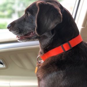 Meet your Posher, Deborah